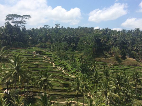 インドネシア・バリ「Indonesia」の写真