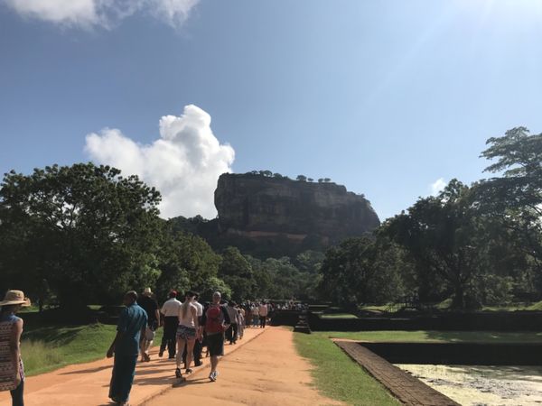 スリランカ・ピンナラワ、ポロンナルワ、シーギリヤ、コロンボ「スリランカ一人旅」の写真：年末年始にスリランカへ🇱🇰初日の夕方に、...