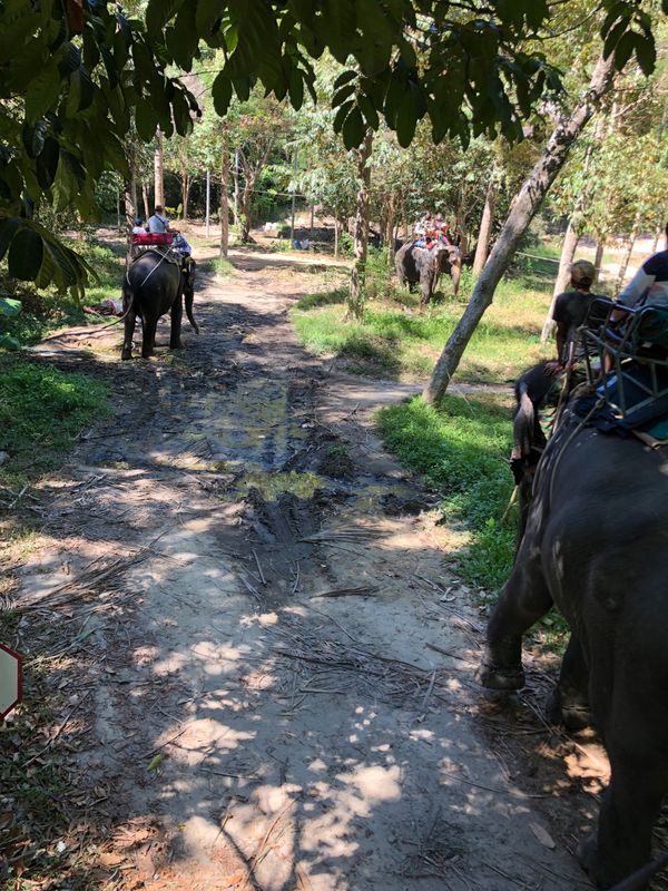 タイ・バンコク「タイ」の写真