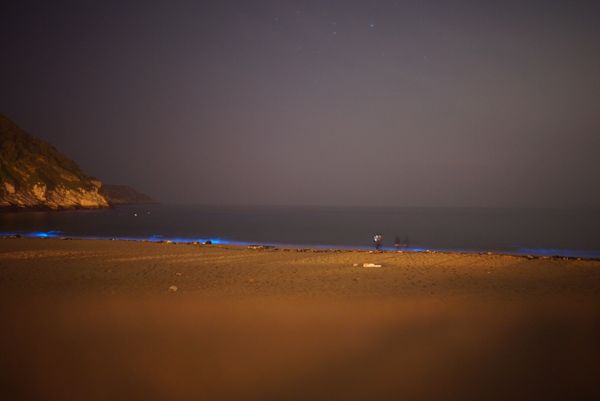 台湾・台北、台中、馬祖島「台湾    藍眼涙」の写真：藍眼涙