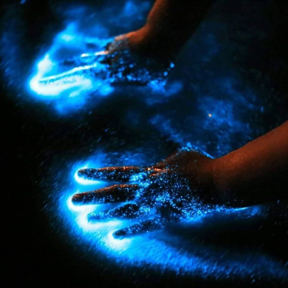 知り合いに貰った写真！藍眼涙。馬祖島〜