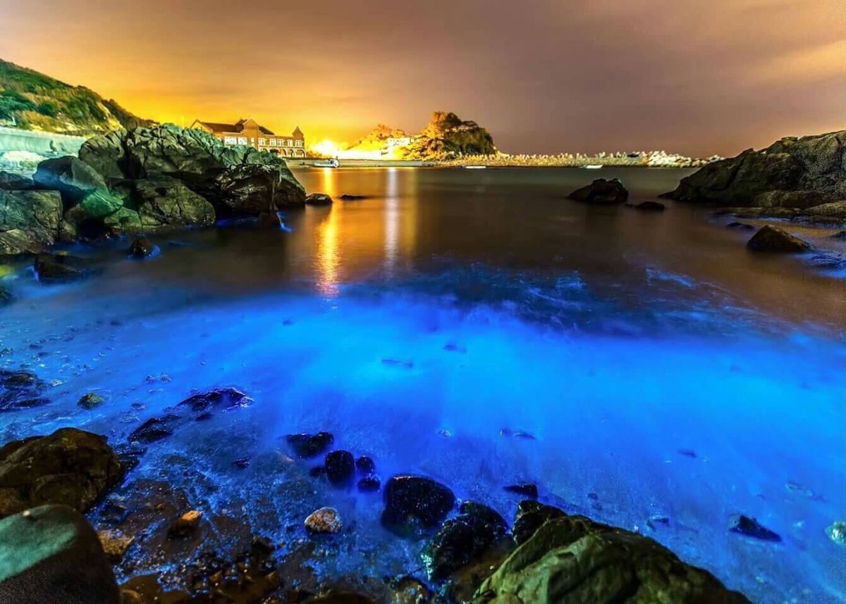 知り合いに貰った写真！藍眼涙。馬祖島〜