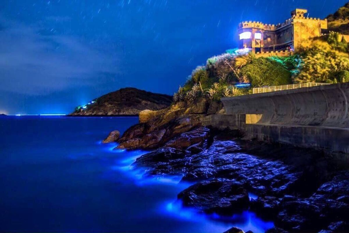 知り合いに貰った写真！藍眼涙。馬祖島〜