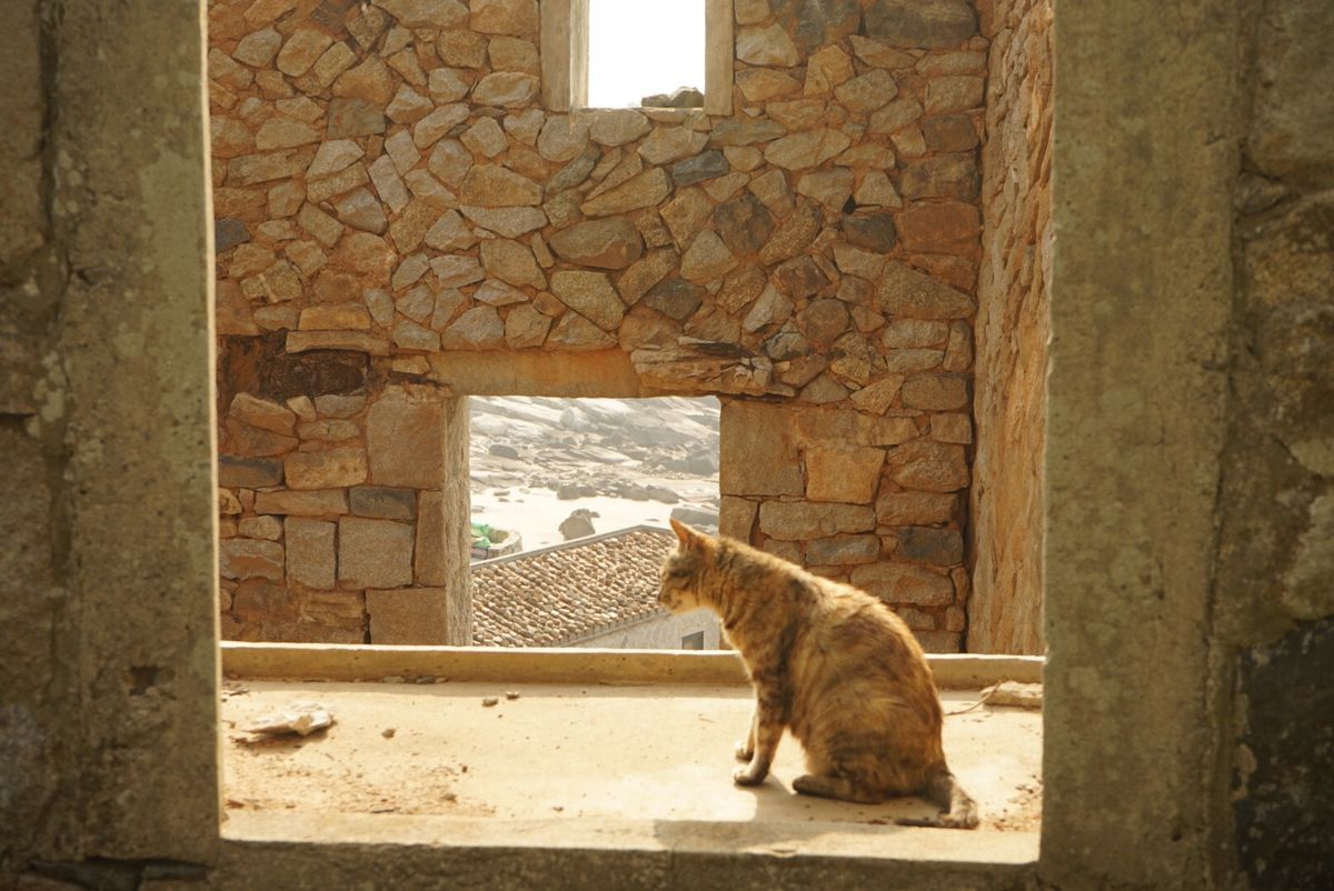 可愛らしい馬祖島！