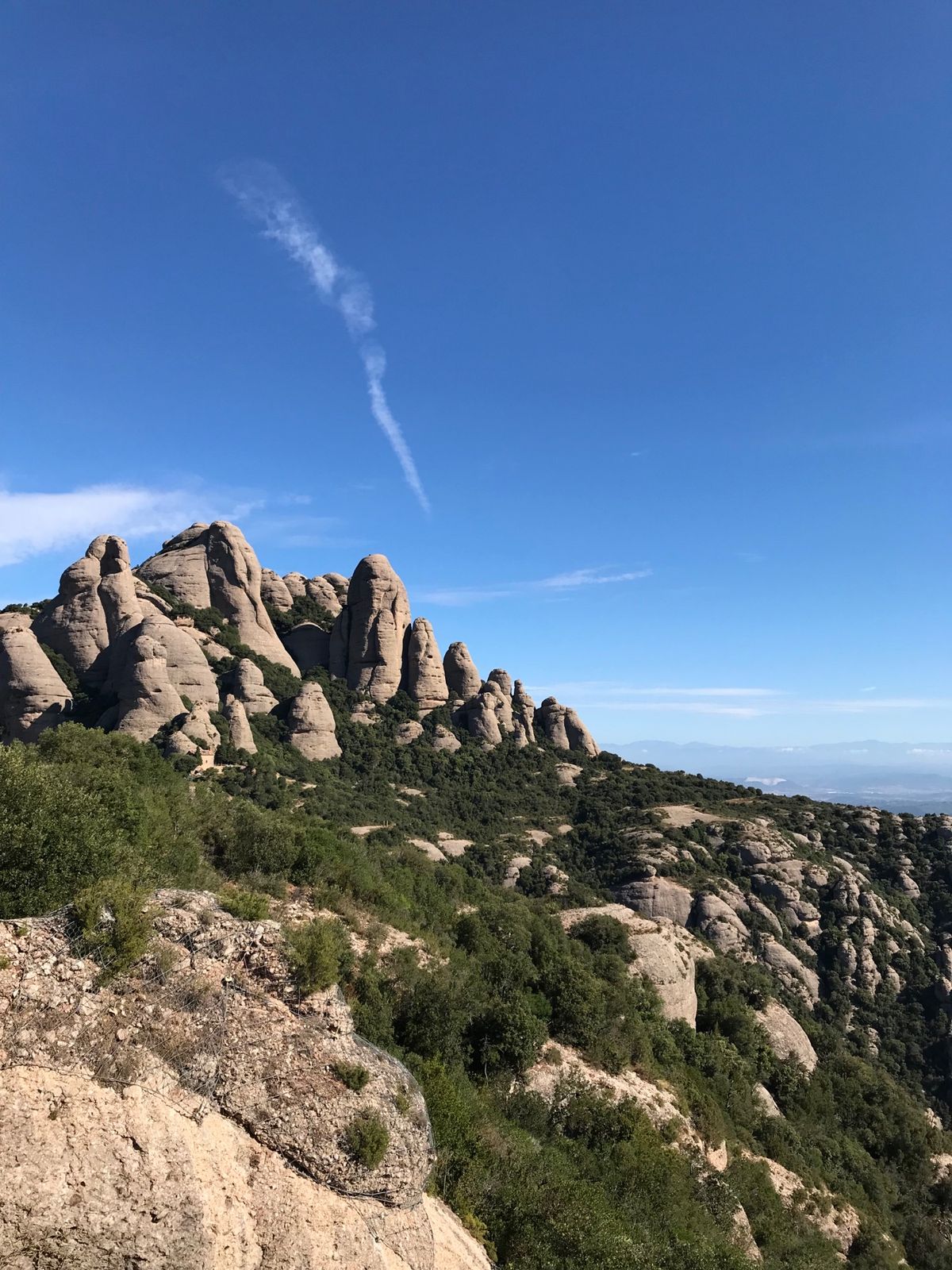 バルセロナからショートトリップしてモンセラットに行って来ました⛰❗️
景...
