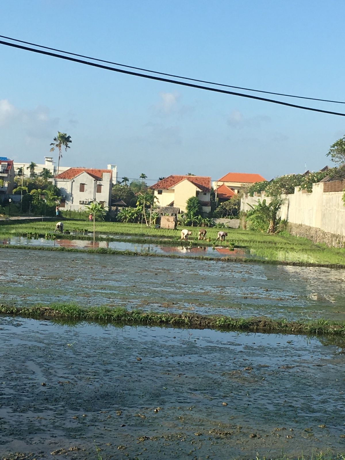 クロボカンのビーチ
ホテルの近くは静か
