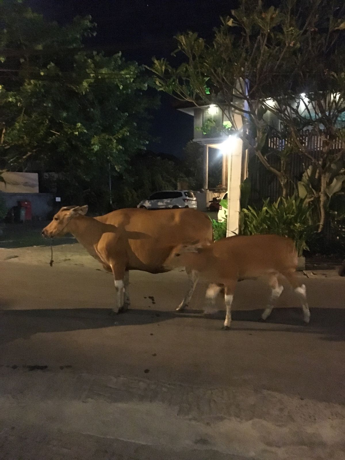 クロボカンのビーチ
ホテルの近くは静か
