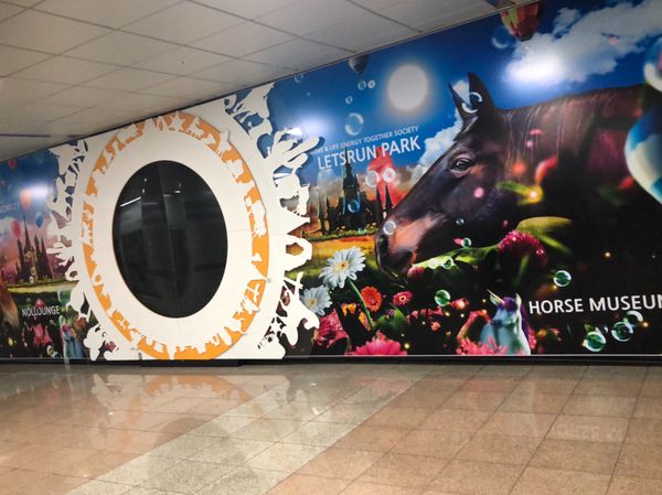 大韓民国 (韓国)・ソウル「コリアカップ2018」の写真