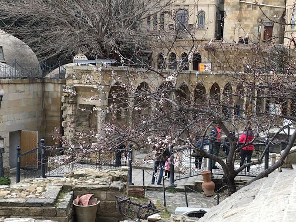 アゼルバイジャン・Bakı「アゼルバイジャンで春のお祭り、Novruz」の写真：桜に似た花はたぶんアーモンドの花かも。バ...