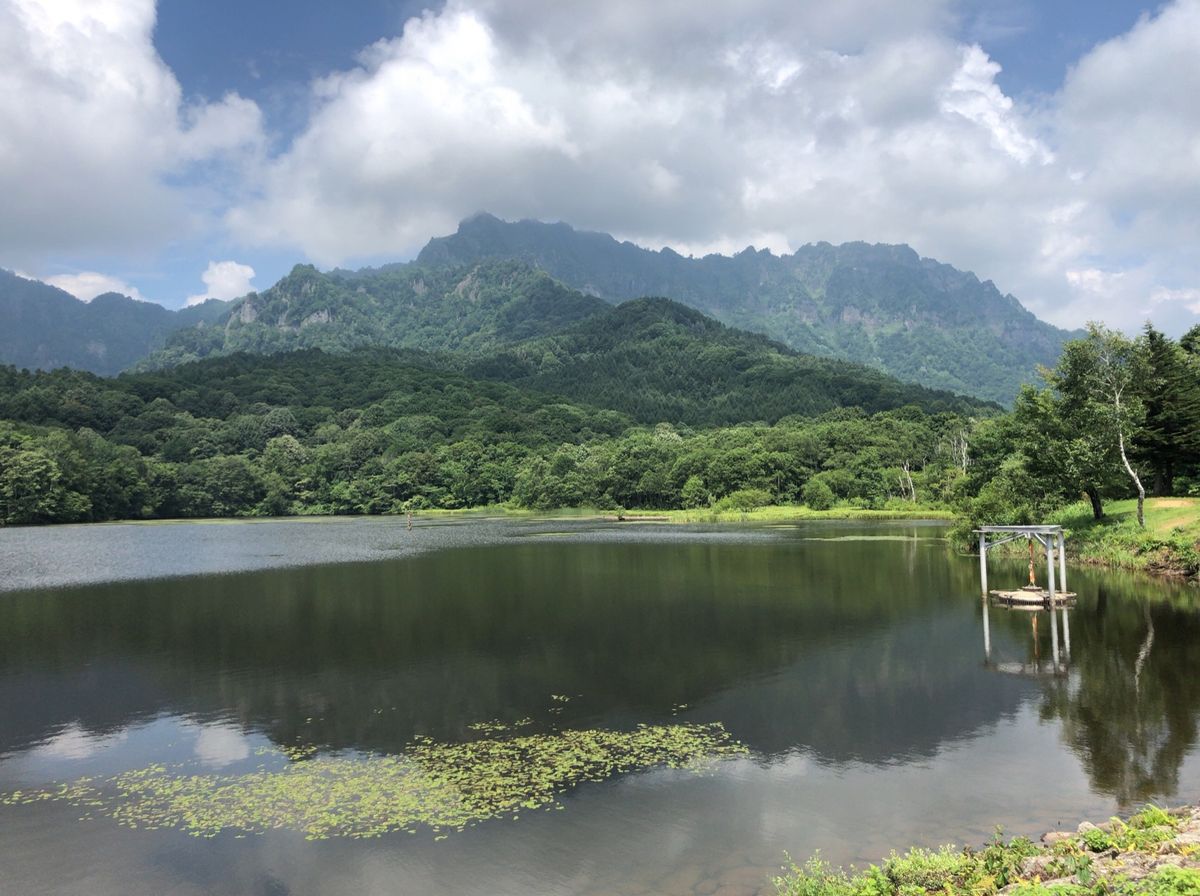 鏡池から戸隠森林植物園をバードウォッチング。