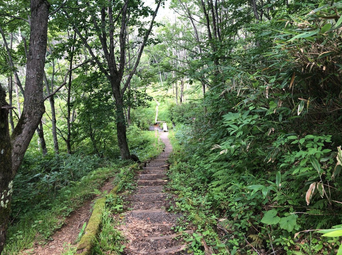 鏡池から戸隠森林植物園をバードウォッチング。