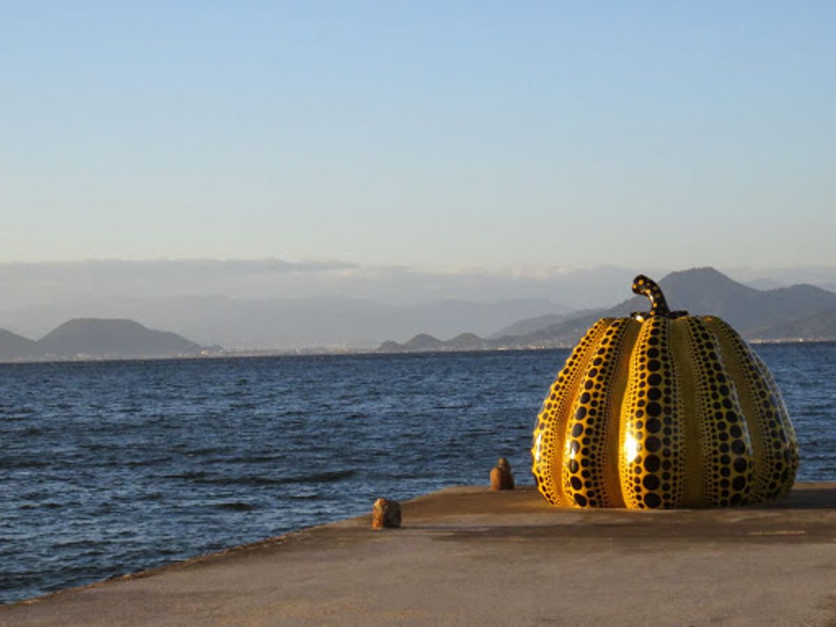 夜明けのカボチャ🎃