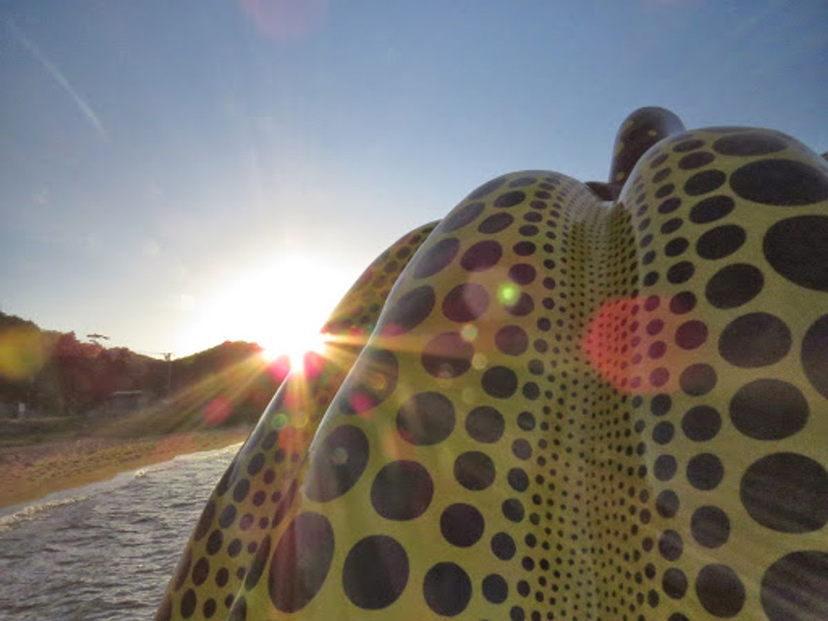 夜明けのカボチャ🎃