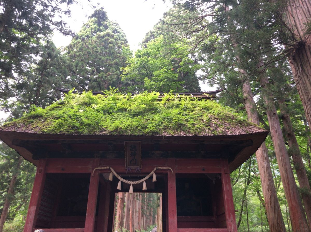 戸隠奥社を参拝。参道の杉並木は立派を通り越して神秘的な感じを受けます。数百...