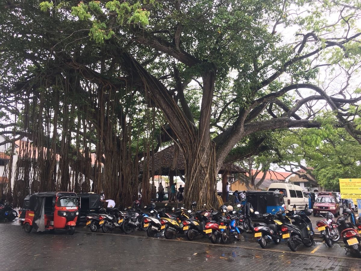 ゴールの街並み続き