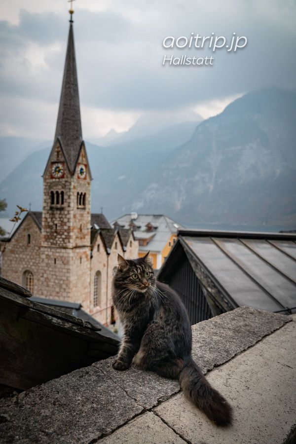 オーストリア・ウィーン「オーストリア」の写真：🇦🇹ハルシュタットのカトリック教会の前で...