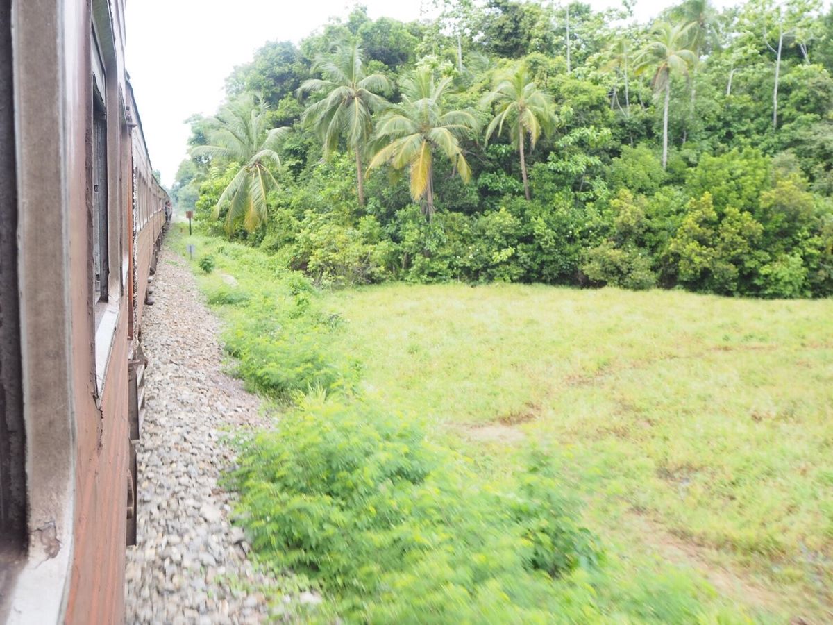 ゴール駅から電車に乗りマータラへ
時刻表はあってないようなもの
出発時刻を...