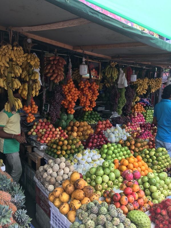 スリランカ・コロンボ「2018スリランカ一周」の写真：マータラからバスに乗り換え
ティッサマ...