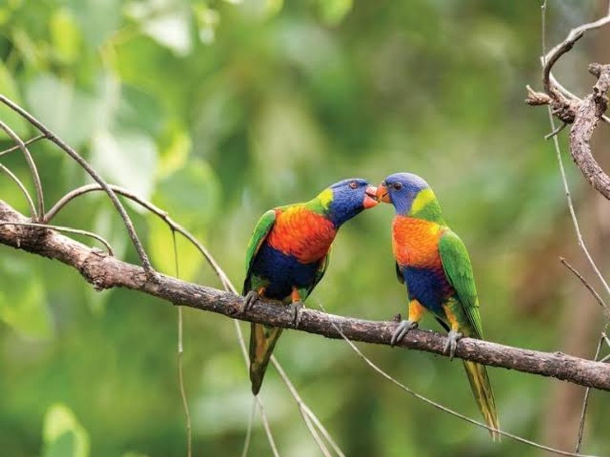 大きな動物園でコアラを抱っこしました。
モコモコふわふわのイメージでしたが...