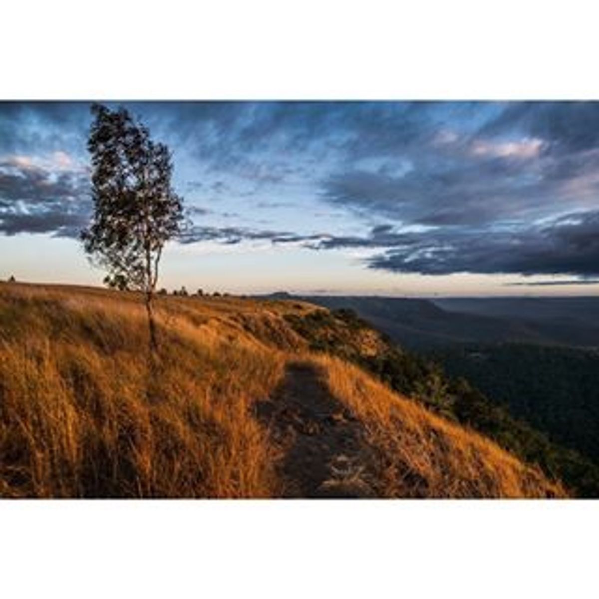 日本人とオーストラリア人の子供の交流？的な記事で地元紙に載り、新聞の一面を...