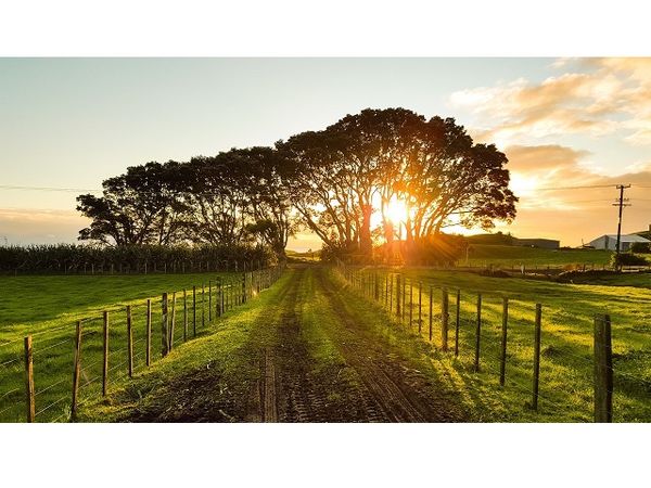 オーストラリア連邦「オーストラリアでファームステイ&ホームステイ！」の写真：ファームステイでは、お菓子の入ったリュッ...