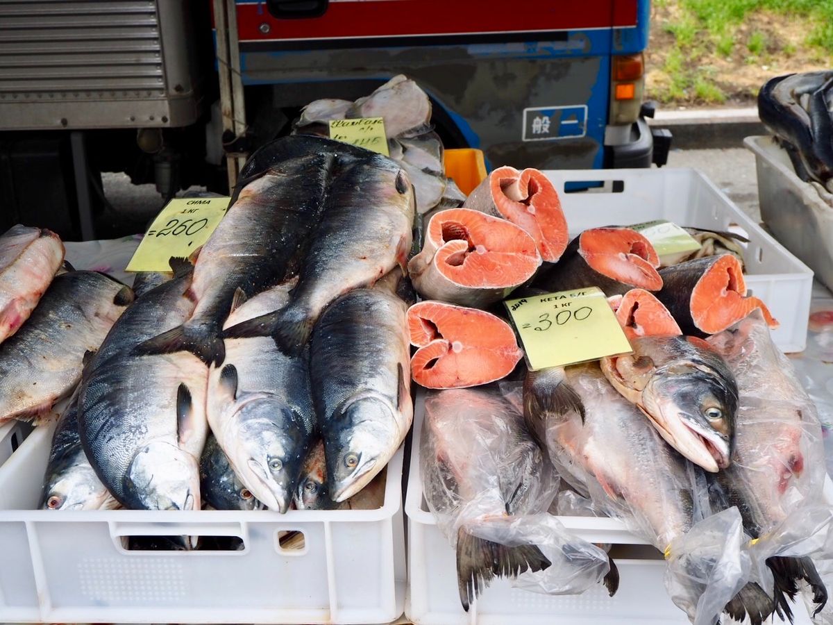 中央公園で毎週末開かれているマーケット。野菜、フルーツ、海産物、肉類、蜂蜜...