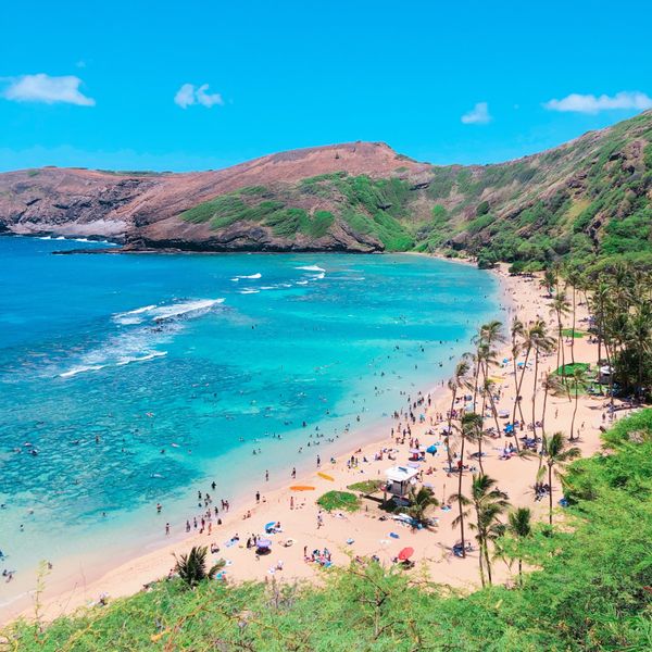 アメリカ(米国)・ワイキキ「Hawaii」の写真