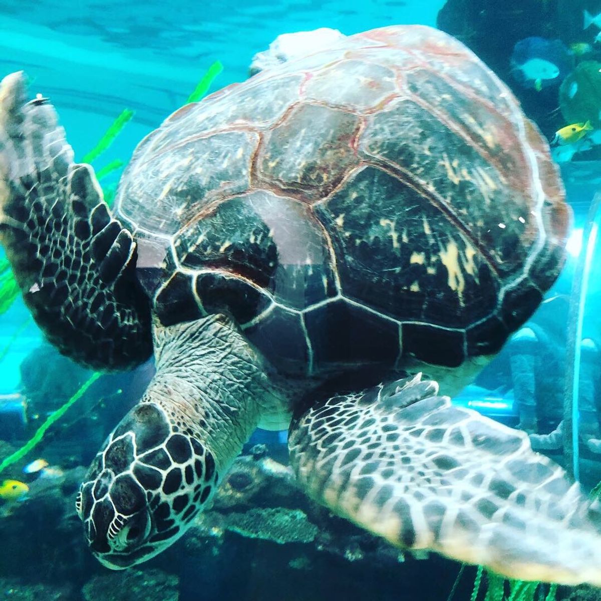 ふらっと行ってご飯食べるにはちょうど良い街です