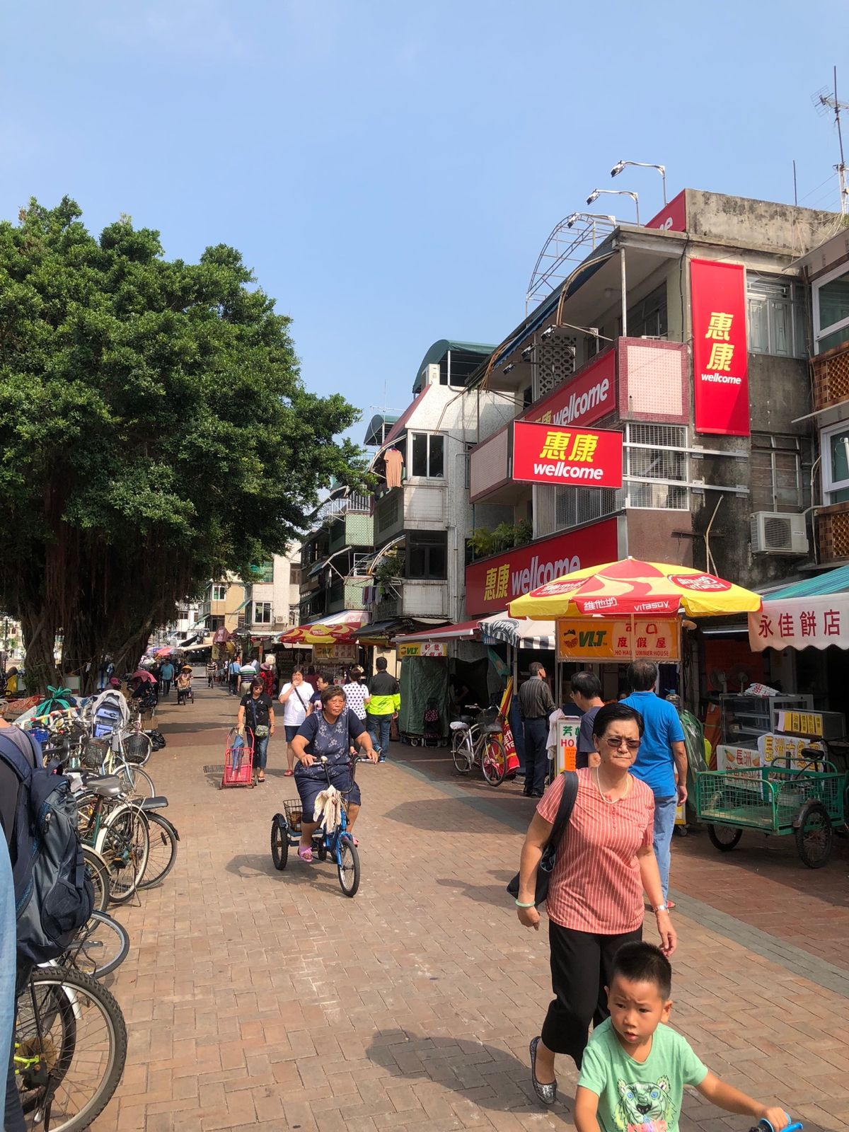 間違えて船に乗ってしまい着いた先は長州という島。今度はちゃんと訪れたい。