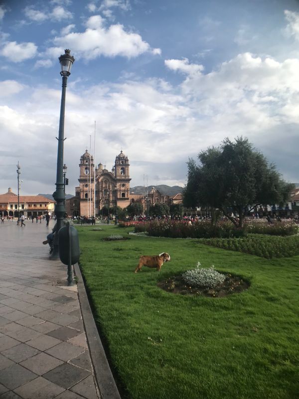 ペルー・クスコ「Peru」の写真