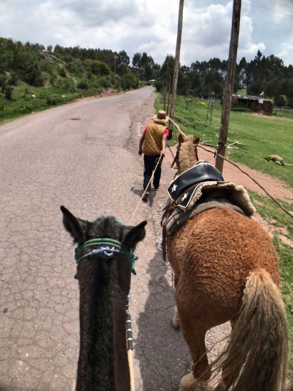 ペルー・クスコ「Peru」の写真
