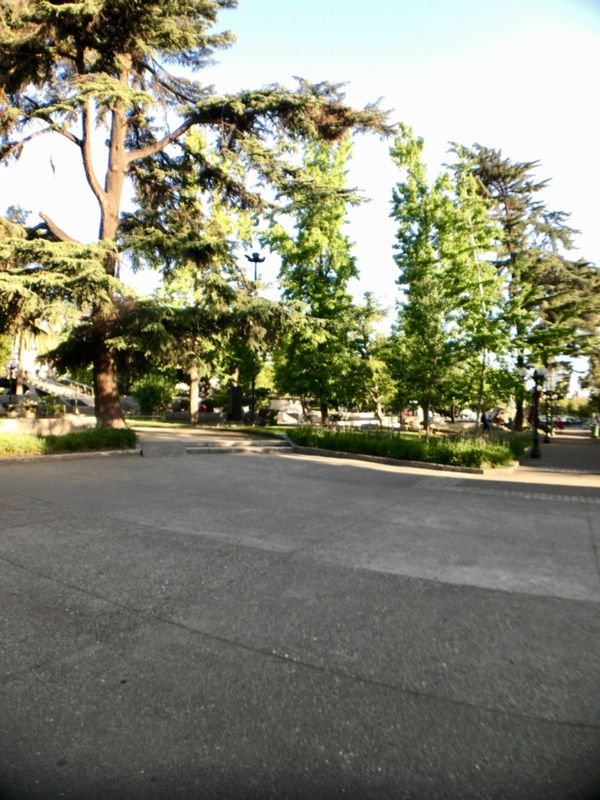 チリ・サンティアゴ「Chile」の写真