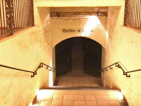 チリ・サンティアゴ「Chile」の写真