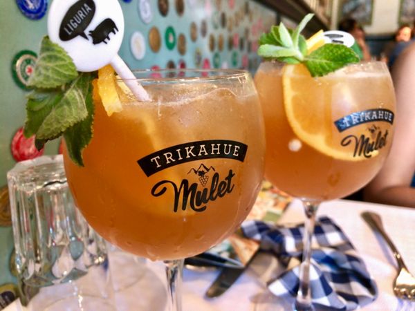 チリ・サンティアゴ「Chile」の写真