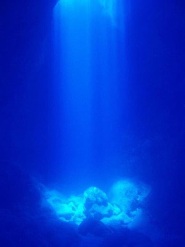 北マリアナ諸島・ロタ島「Diving in Rota」の写真