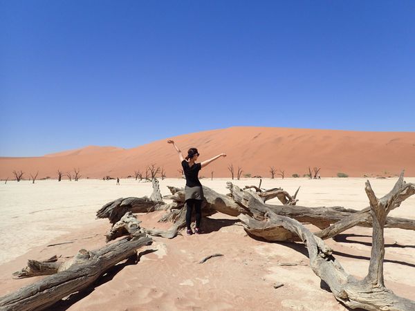 ナミビア・ナミブ砂漠「ナミビア  ナミブ砂漠」の写真：ナミブ砂漠