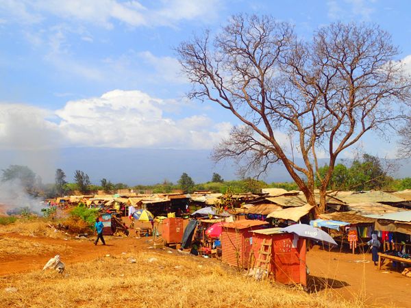 タンザニア連合共和国・キリマンジャロ、ザンジバル島「タンザニア」の写真：キリマンジャロのモシ！