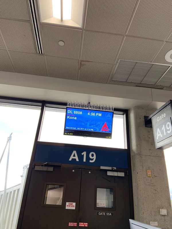 アメリカ(米国)・コナコーストリゾート「2019 大好きハワイ島❤️卒業旅行を兼ねた家族旅行」の写真：ネイバーは直行便で行ける程裕福ではない我...