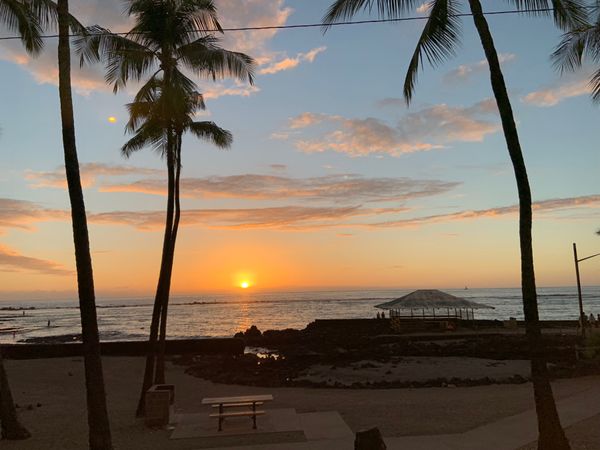 アメリカ(米国)・コナコーストリゾート「2019 大好きハワイ島❤️卒業旅行を兼ねた家族旅行」の写真：ハーツでレンタカー借りて直ぐに南下するも...