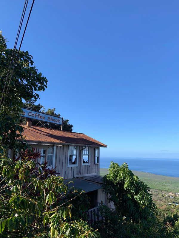 アメリカ(米国)・コナコーストリゾート「2019 大好きハワイ島❤️卒業旅行を兼ねた家族旅行」の写真：まず訪れたのはコーヒーシャック。  コン...