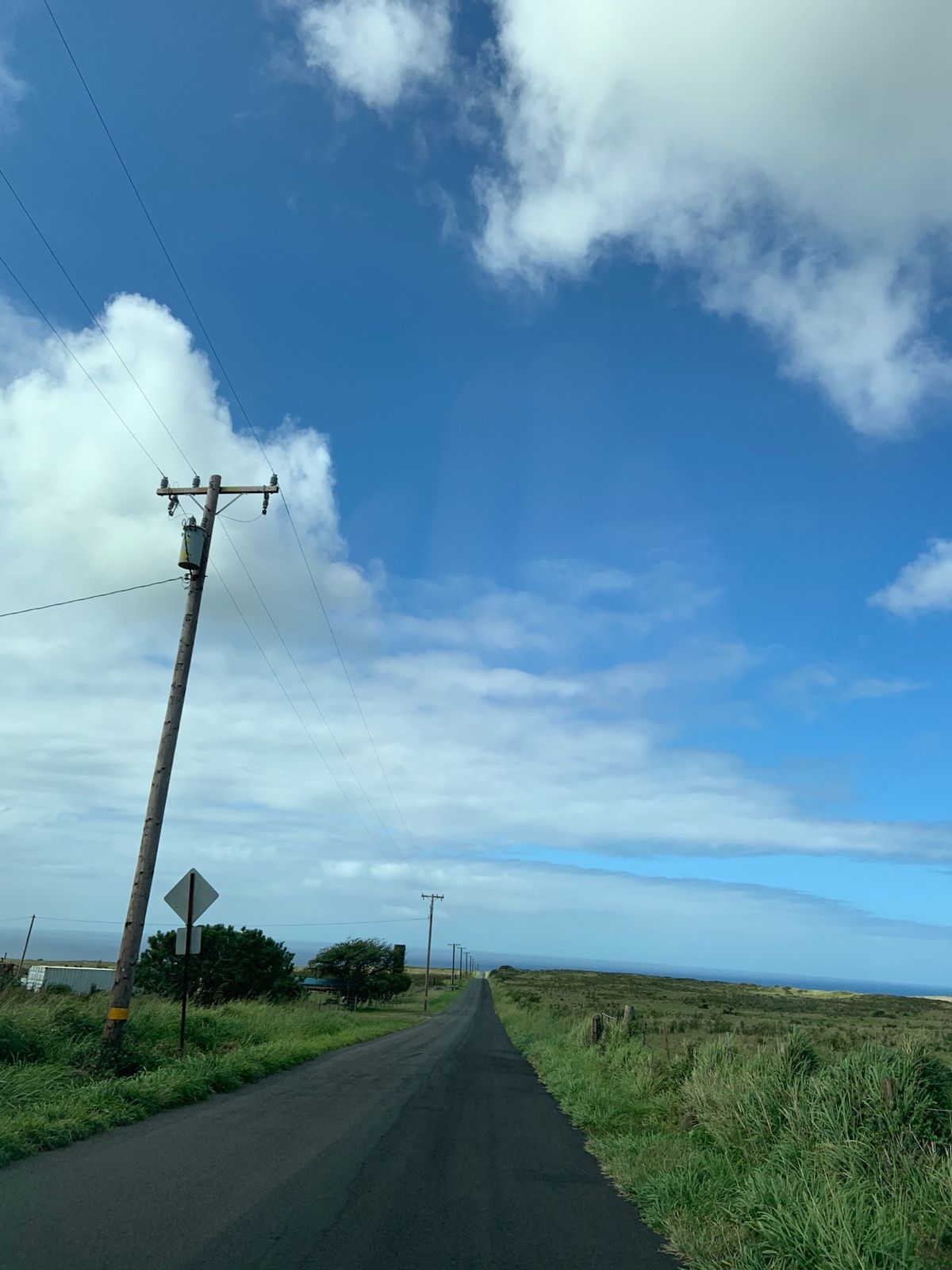サウスポイントに行く途中の景色。 牛さんがゾロゾロと移動中でした🐂