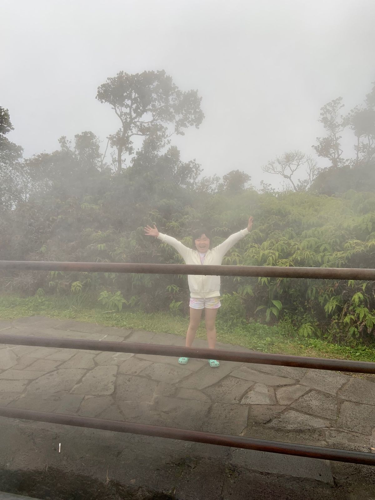 ホーレイシーアーチにスチームベントなどなどキラウエア火山周囲の国立公園内は...