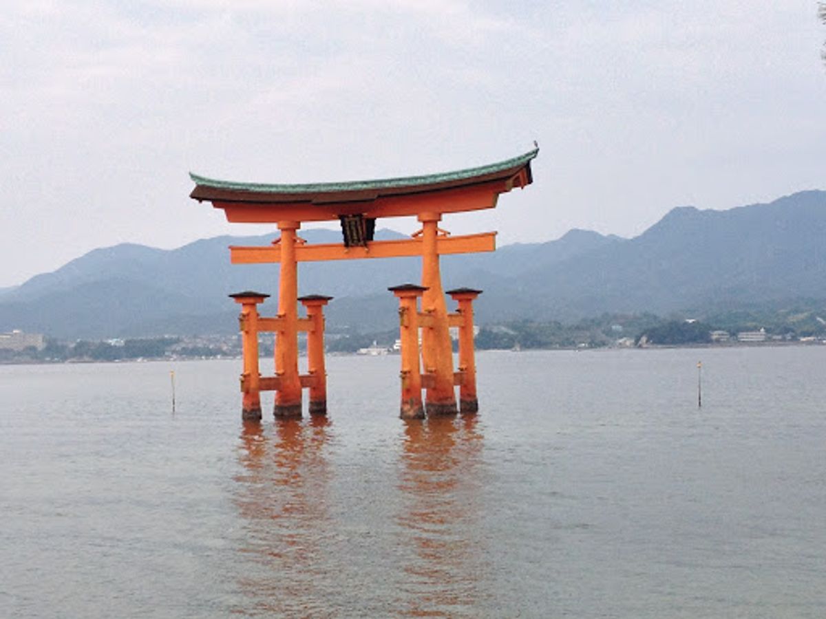 見てみたかった鳥居