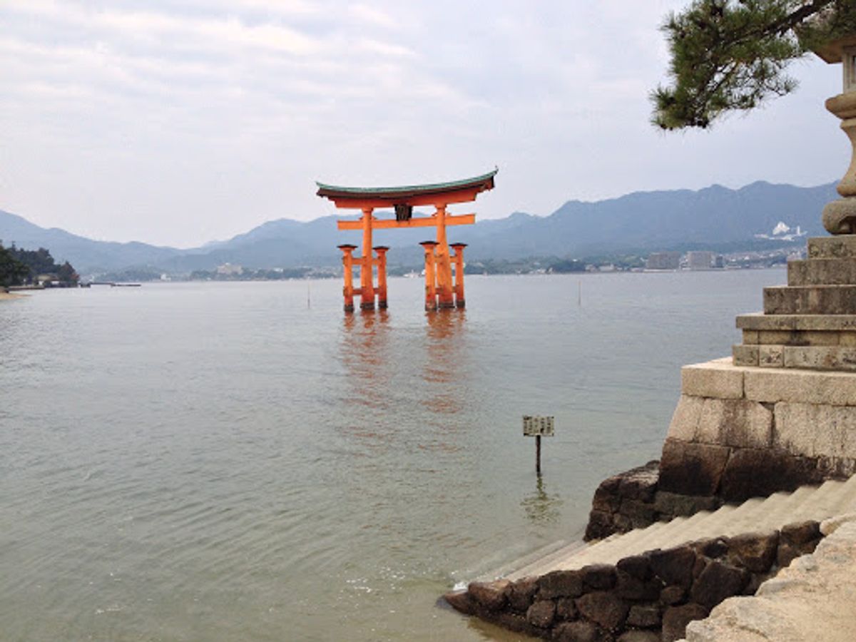 見てみたかった鳥居