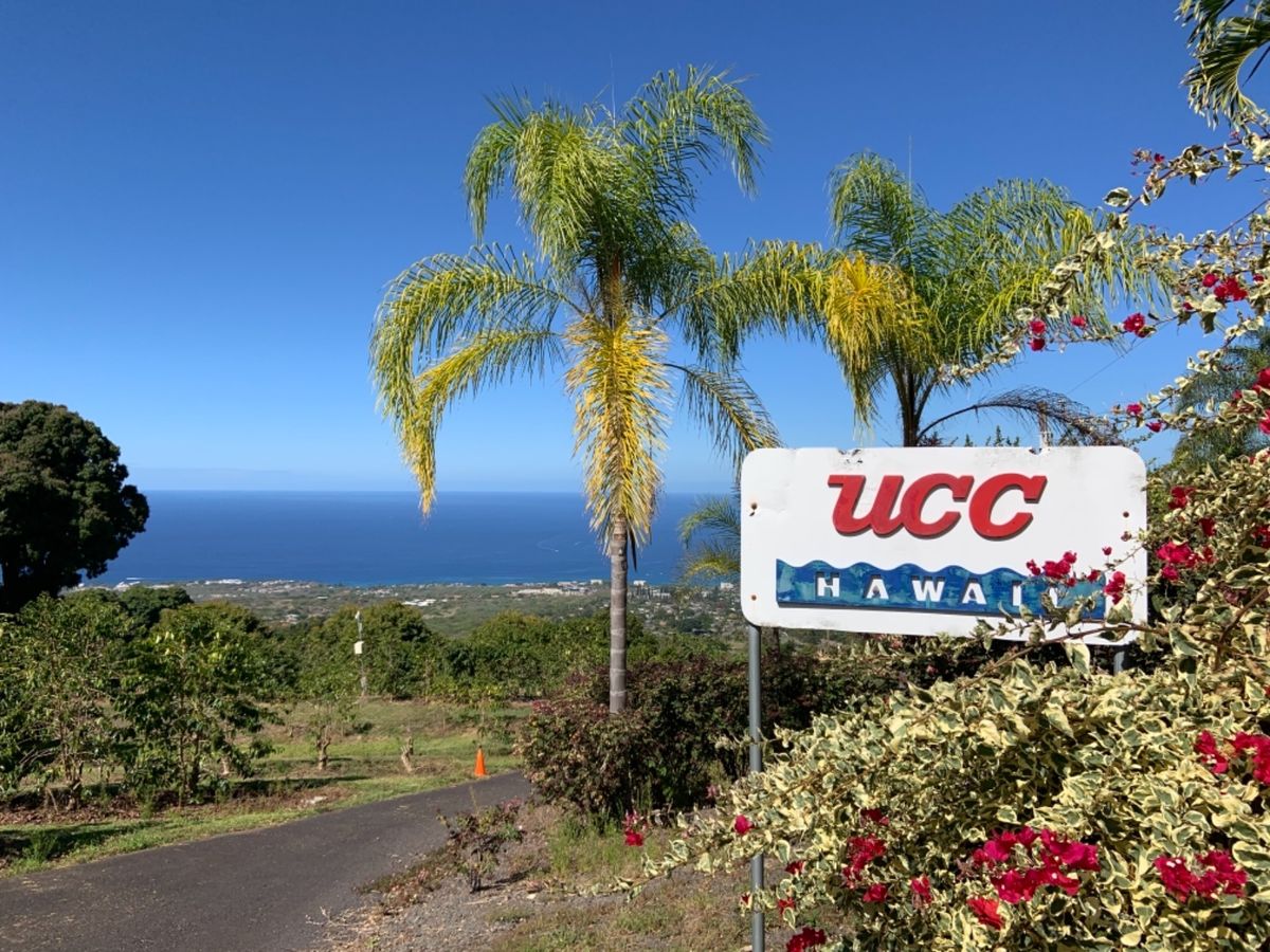 コナコーヒーベルトでコーヒー農園見学しました。  どちらも園内綺麗に整備さ...