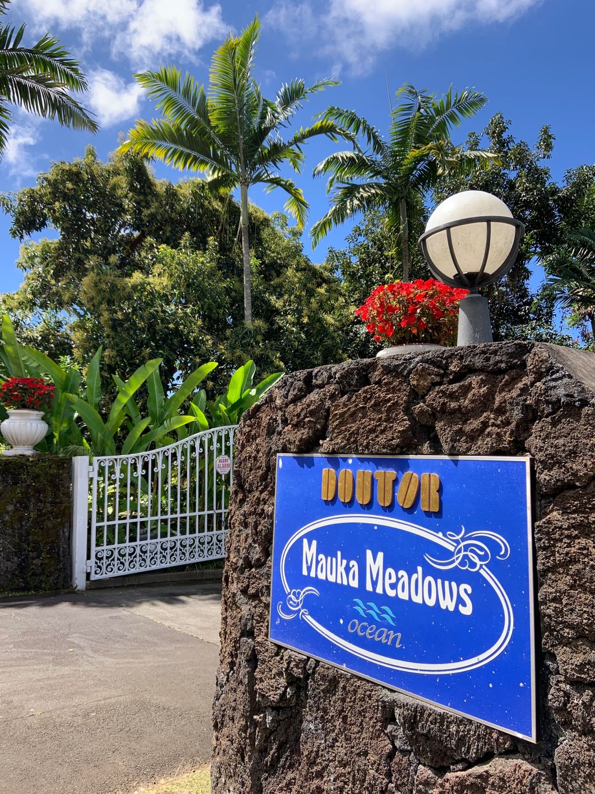 コナコーヒーベルトでコーヒー農園見学しました。  どちらも園内綺麗に整備さ...