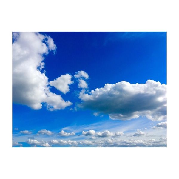 スリランカ「スリランカ𓀙⚑⚐」の写真