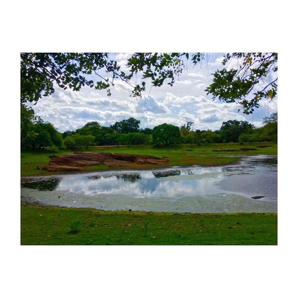 スリランカ「スリランカ𓀙⚑⚐」の写真