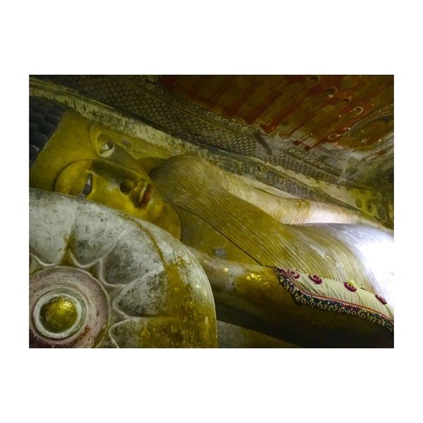 スリランカ「スリランカ𓀙⚑⚐」の写真