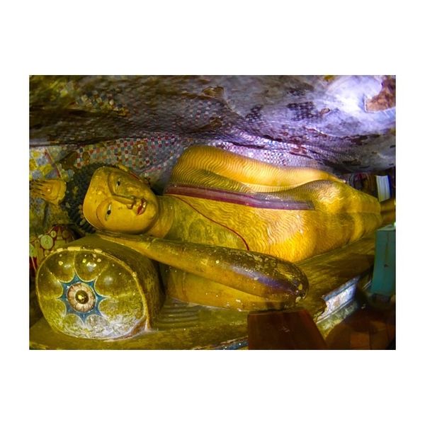 スリランカ「スリランカ𓀙⚑⚐」の写真